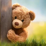 My Bear and the NHS