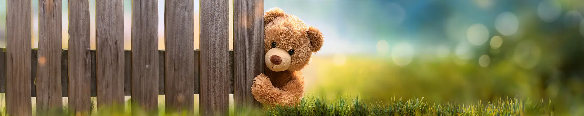 My Bear and the NHS